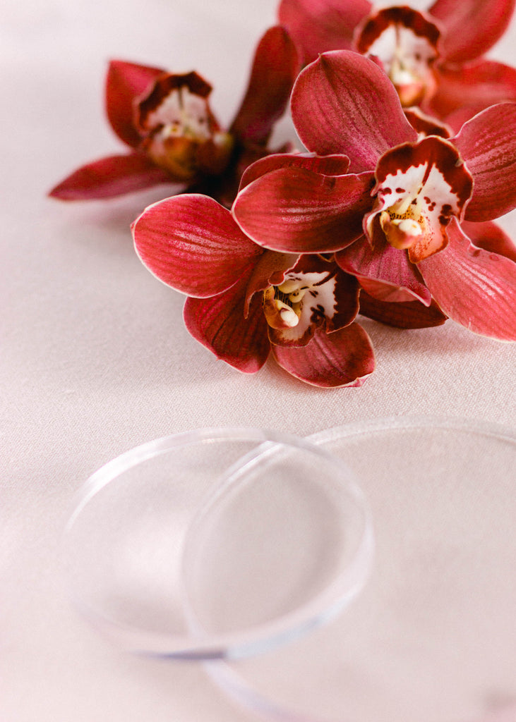 Clear Acrylic Round Styling Blocks